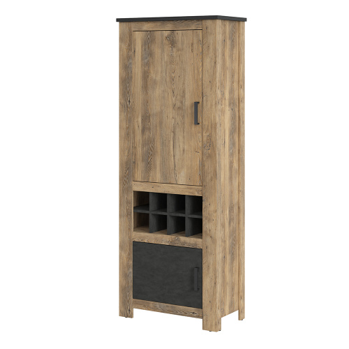 Apallo 2 door cabinet - IW Furniture